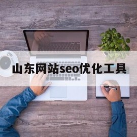 山东网站seo优化工具(山东自助seo建站)