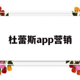 杜蕾斯app营销(杜蕾斯营销策略分析)