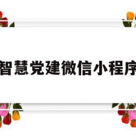 智慧党建微信小程序(企业微信的智慧党建在哪)