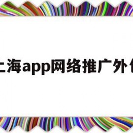 上海app网络推广外包(上海做网络推广服务的公司)