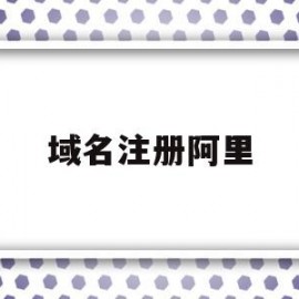 域名注册阿里(阿里域名注册网站)