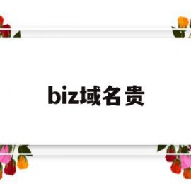 biz域名贵(biz域名的含义)