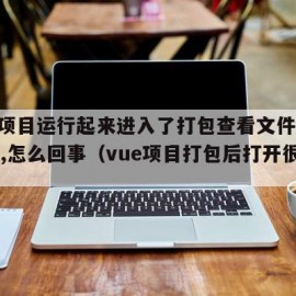 vue项目运行起来进入了打包查看文件大小页面,怎么回事（vue项目打包后打开很慢）