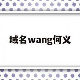 域名wang何义(域名网址是什么意思)