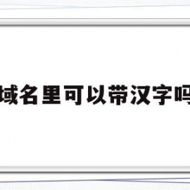 域名里可以带汉字吗(域名里可以带汉字吗为什么)