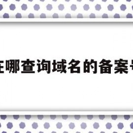 在哪查询域名的备案号(在哪查询域名的备案号信息)