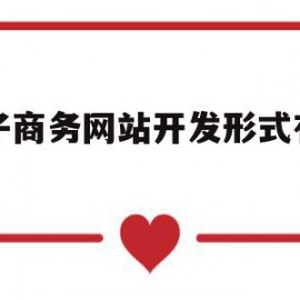 电子商务网站开发形式有哪些(电子商务网站开发形式有哪些种类)