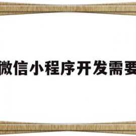 微信小程序开发需要(微信小程序开发需要什么语言)