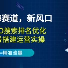 2022蓝海赛道，新风口：短视频SEO搜索排名优化+企业商家号搭建运营实操