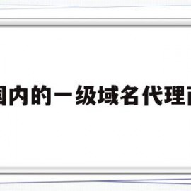 国内的一级域名代理商(一级域名是国内外都能访问的吗)