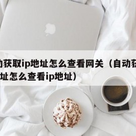 自动获取ip地址怎么查看网关（自动获取ip地址怎么查看ip地址）