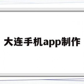 大连手机app制作(大连手机app制作平台)