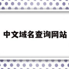 中文域名查询网站(中文域名网站有哪些)