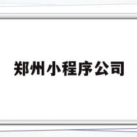 郑州小程序公司(郑州小程序开发制作公司)