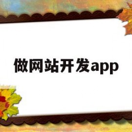 做网站开发app(做网站开发用什么软件)