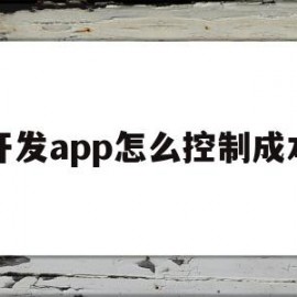 开发app怎么控制成本(开发app的成本分析)