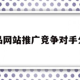 产品网站推广竞争对手分析(产品网站推广竞争对手分析论文)