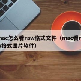 mac怎么看raw格式文件（mac看raw格式图片软件）