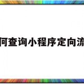 如何查询小程序定向流量(如何查询小程序定向流量使用情况)