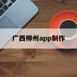 包含广西柳州app制作的词条