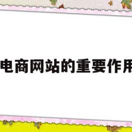 电商网站的重要作用(数据诊断对电商专业有哪些重要作用)