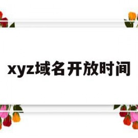 xyz域名开放时间(xyz域名需要实名吗)