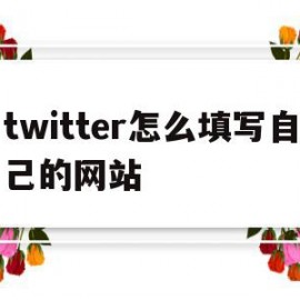 twitter怎么填写自己的网站的简单介绍