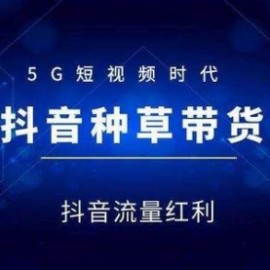 【抖音带货】抖音直播带货实操课：3 天打爆直播间 7 天稳定自 然流玩法