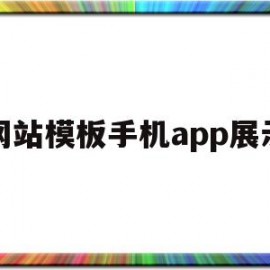 网站模板手机app展示(网站模板软件)