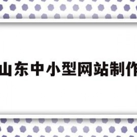 山东中小型网站制作(山东知名网站建设平台)