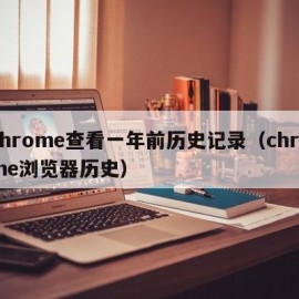 chrome查看一年前历史记录（chrome浏览器历史）