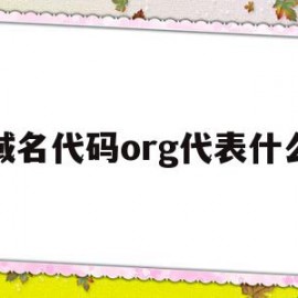 包含域名代码org代表什么的词条