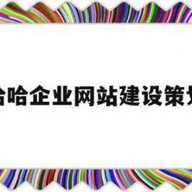 包含娃哈哈企业网站建设策划书的词条