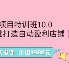 虚拟项目特训班10.0，0基础打造自动盈利店铺 36节实操课 价值1580元