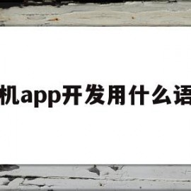 手机app开发用什么语言(手机app开发是用什么语言)