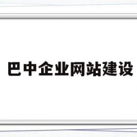 巴中企业网站建设(巴中企业网站建设项目)