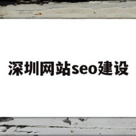 深圳网站seo建设(深圳网站seo建设公司)