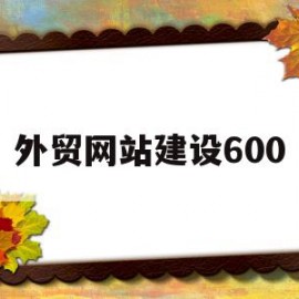 外贸网站建设600(外贸网站建设外贸网站制作博纳)