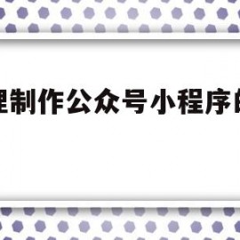 代理制作公众号小程序的合同(代理制作公众号小程序的合同怎么写)