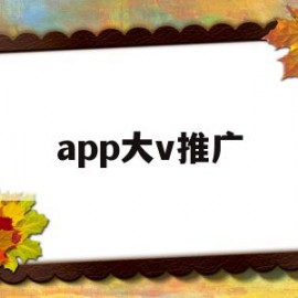 app大v推广(大v号推广是什么意思)