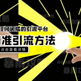 没有任何门槛的引流平台，超精准引流方法分享，一天100+不是问题