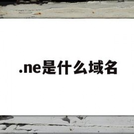 .ne是什么域名(me是什么域名)