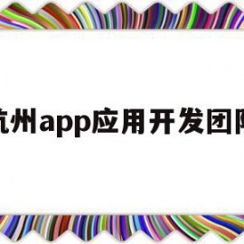 杭州app应用开发团队(杭州app应用开发团队介绍)