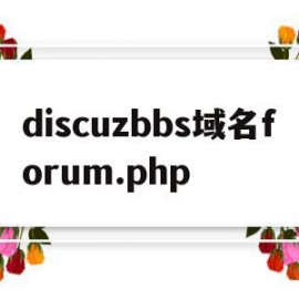 关于discuzbbs域名forum.php的信息