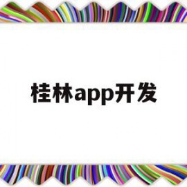 桂林app开发(桂林app开发平台)