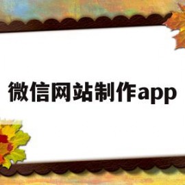 微信网站制作app(微信网站制作公司哪家好)