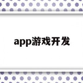 app游戏开发(APP游戏开发语言 跨平台)