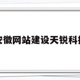 安徽网站建设天锐科技(安徽天瑞建设工程有限公司)