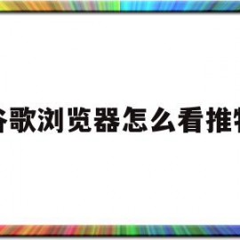 谷歌浏览器怎么看推特(谷歌怎么打开推特)