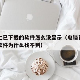 电脑上已下载的软件怎么没显示（电脑已经下载的软件为什么找不到）